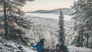 Journée de randonnée en Laponie Suédoise