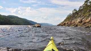 Kayak de mer dans le Fjord du Saguenay au Québec, Canada