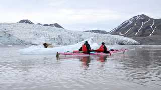 Kayak et phoque en Arctique