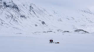 La Kungsleden en hiver