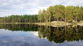 Lac en Suède l'été