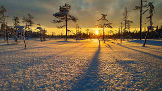 Paysage de Laponie l'hiver