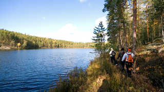 Randonnée en Finlande l'été