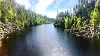 Rivière finlandaise l'été en Laponie