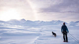 Robin et le chien dans les montagnes de l'arctique