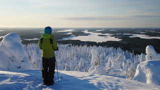 Ski de fond dans la taiga