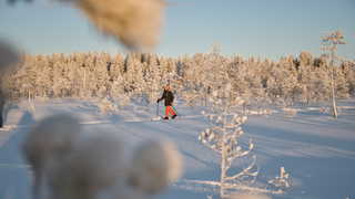 Ski Finlande à Hossa