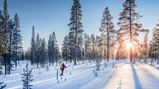 Ski nordique en Finlande