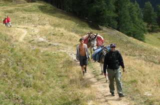 Balade avec des ânes vers Furfande dans les Alpes en France - © P.A. BISSON France, alpes, Alpage de Furfande