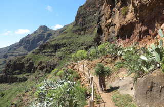 Chemin de randonnée sur l'île de La Gomera aux Canaries