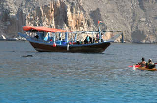 Dauphins, boutre et kayak, Musandam, Oman