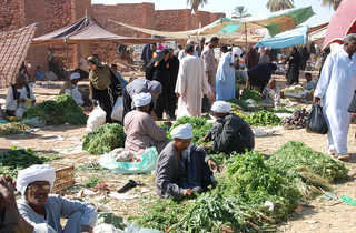 marché de Daraw