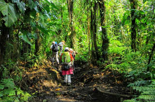 Petit groupe de randonneurs dans la forêt au Costa Rica