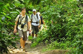 Rando en foret tropicale - © S. FAUTRE rando en foret tropicale