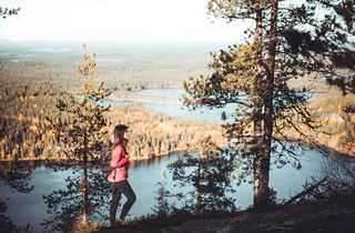 oulanka finlande parc randonnée