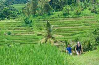 Randonnée dans les rizières de Bali - © Giraud Raphael Randonée, rizière, Bali