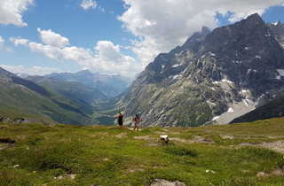 Randonnée du Tour du Mont Blanc