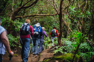 Randonneurs aux Canaries - © Wulser Yann Canaries, Tenerife, La Gomera, la Palma, parc rural Anaga, randonnée