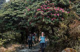 Randonneurs qui descendent des escaliers en randonnée au Népal