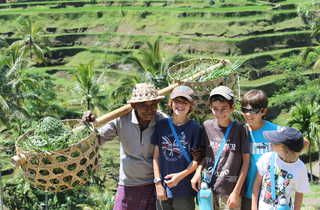 Indonésie, Munduk, paysan dans les rizières