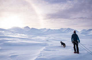 Robin et le chien dans les montagnes de l'arctique Spitzberg
