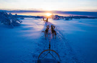 Voyage en Laponie l'hiver en chien de traineau