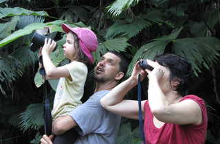 Voyageurs observant aux jumelles des animaux au Costa Rica - © Martin Laprade Alexandra Voyageurs observant aux jumelles des animaux au Costa Rica