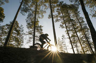 VTT en Finlande l'été - © Mäkinen Eeva VTT en Finlande l'été