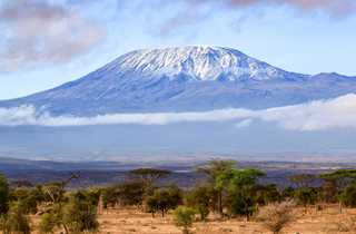 Vue sur le Kilimandjaro enneigé avec de la savane en premier plan en Tanzanie