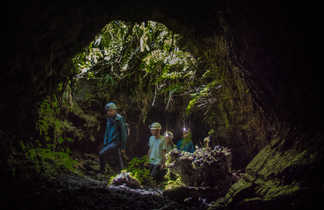 A l'entrée des tunnels de lave de la Réunion