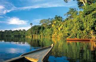 amazonie rio madre de dios