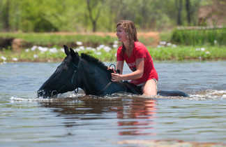 Baignade à cheval dans un lac en Afrique du Sud