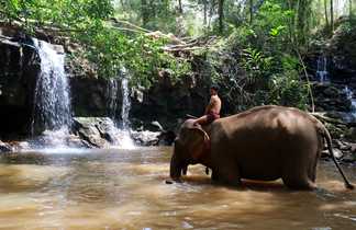 bain elephant Mondolkiri Cambodge