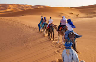 Ballade à dos de dromadaires au Maroc