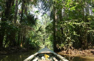 barque en Amazonie au Pérou