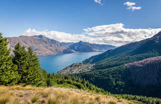 Ben Lomond Track