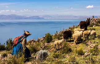 Bergère au bord du lac Titicaca au Pérou