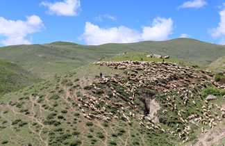 Bergers et leurs moutons dans les montagnes