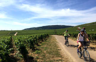 Cyclistes entre les vignes en bourgogne sud