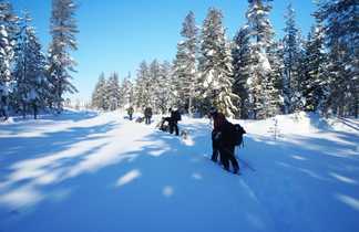 Cani-randonnée dans le Parc National de Hossa en hiver