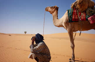 Chamelier et chameau en Mauritanie
