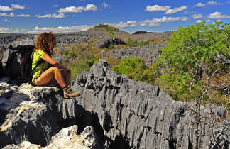 Contemplation des tsingys de Madagascar