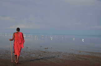 Contemplation Masaï au Lac Natron  en tanzanie