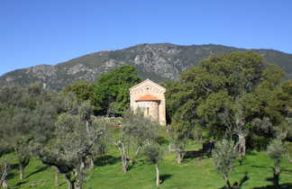 corse