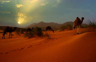 coucher de soleil, adrar, mauritanie
