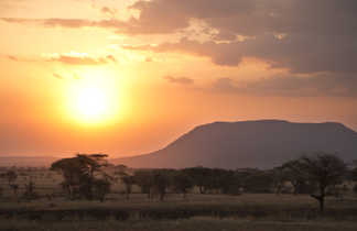 Coucher de soleil dans la parc national du Serengeti en Tanzanie