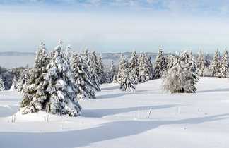 Crêtes du Jura sous la neige