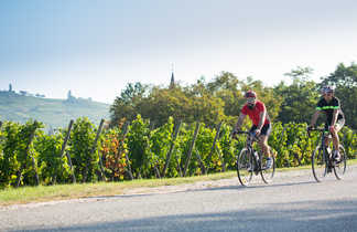 Deux Cyclistes sur une route entre les vignes en alsace