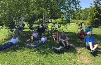 Cyclistes se démentent sous un arbre