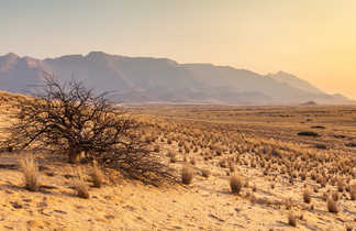 Damaraland en Namibie